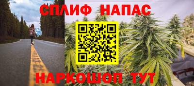 Альфа ПВП Малгобек
