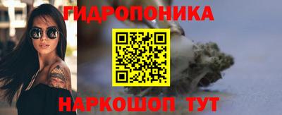 Альфа ПВП Малгобек